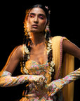 Bejewelled Draped Saree